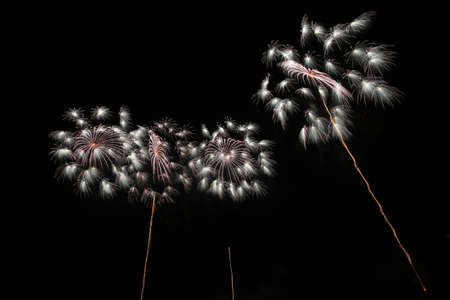 2019 Kashiwazaki fireworks displayの写真素材
