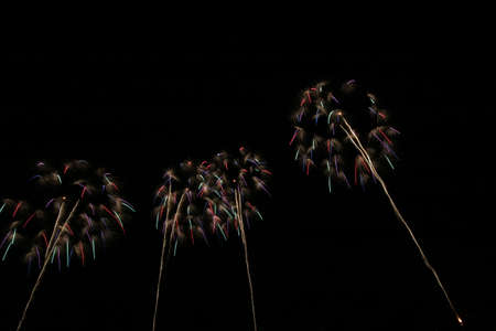 2019 Kashiwazaki fireworks displayの写真素材