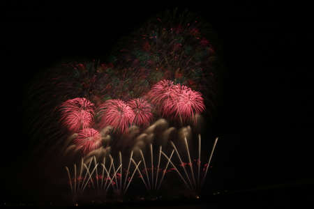 2019 Japan's Three Great Fireworks Nagaoka Fireworks