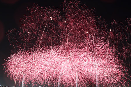 Yoro Park 140th Anniversary Fireworksの写真素材
