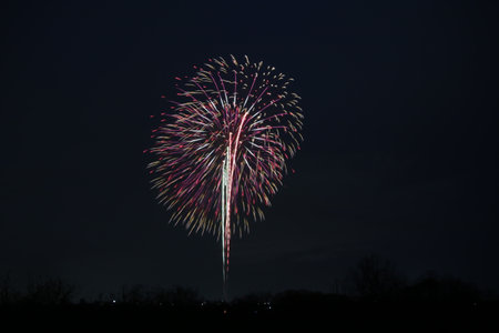 Okazaki's Surprise Fireworksの写真素材