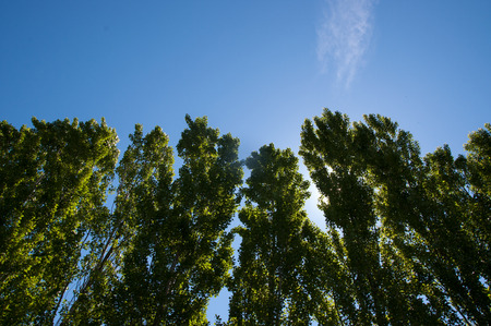 To hightの写真素材