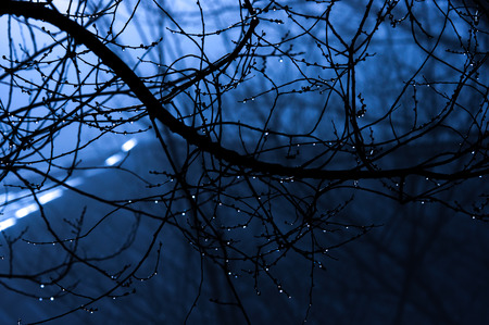 Gocceの写真素材