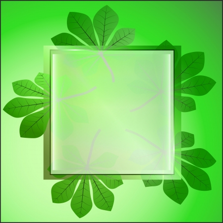 green light colored square frame and chestnut leaves card vector backdrop or illustrationのイラスト素材