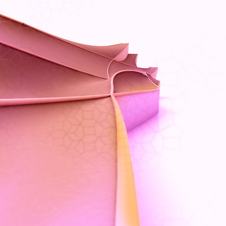Pink violet shape design construction with white place backgroundの写真素材