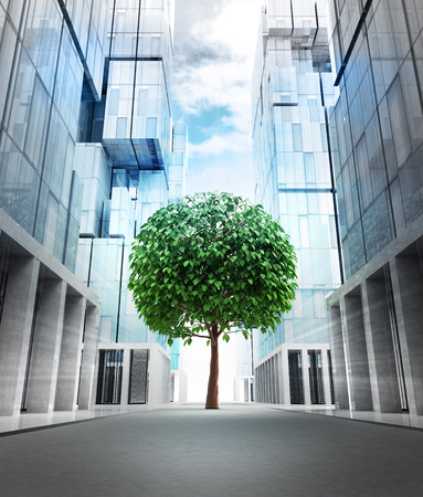big green leafy tree in new modern business city street illustrationの写真素材