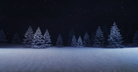 magic winter forest with illuminated trees front, winter nature 3D scene copy space background illustration renderingの写真素材