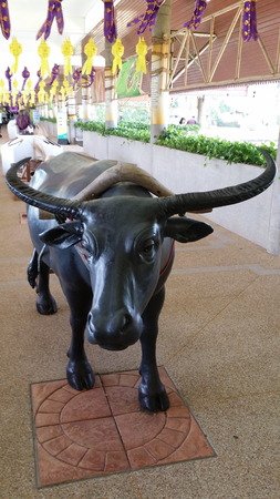 Buffalo statue at The Golden jubilee Museum of Agriculture office Public Organizationの写真素材