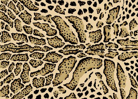 Clouded leopard skin pattern design. Leopard spots print vector illustration background. Wildlife fur skin design illustration for print, web, home decor, fashion, surface, graphic designのイラスト素材