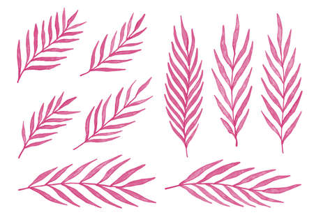 Pink watercolor leaves. Set of 9 watercolor palm leaves. Vector illustration isolated on white background.のイラスト素材