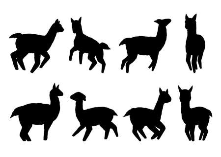 Llamas silhouette collection. Vector illustration set. Isolated on white backgroundのイラスト素材