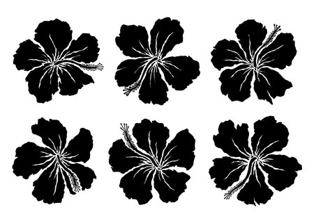 Hibiscus silhouette collection set. Vector Illustration.のイラスト素材