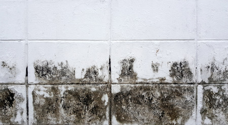old Stone wallの写真素材