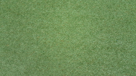 artificial green grass field texture backgroundの写真素材