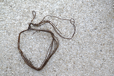 Fruit shape made from old rusty wireの写真素材