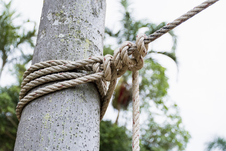 Close up Rope tied around a tree trunk in front of blurred natural background. Country style.の写真素材