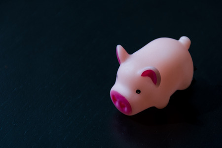Top view of pig pink color isolated on Black wood floor backgroundの写真素材