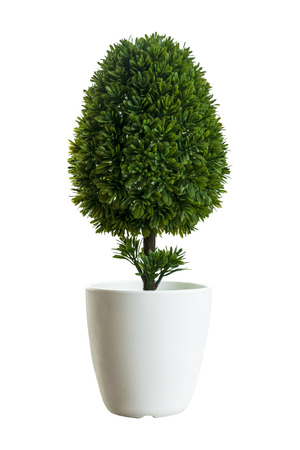 Small artificial tree in a white pots on white background. Concept image for interior design and decoration of office and home. with clipping pathの写真素材