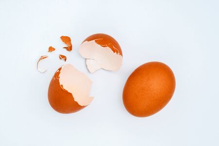 White egg and egg yolk in egg box on Light gray background, top view. With copy area