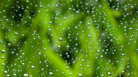 The small raindrops on the window glass in the rainy season intersect with the green backdrop.