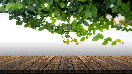 Brown grunge wood table with green leaves for product placement or editing your product or design elements. Wooden board empty table perspective.の写真素材