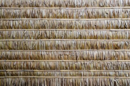 wall of Thai farmer cottage in countryside. Natural leaf texture backgroundの写真素材