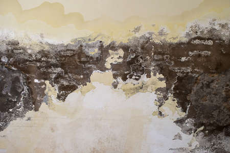 cracked concrete vintage wall background, old wallの写真素材