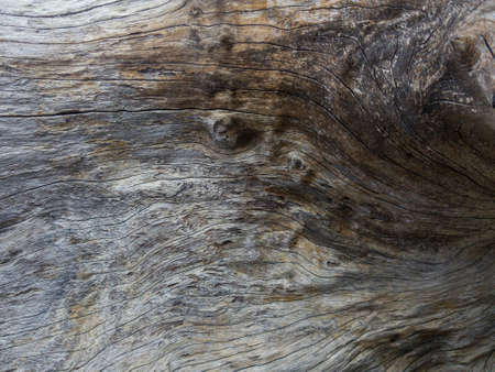 Surface eroded by time, Old wood background.の写真素材