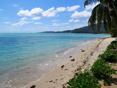 Tropical Lamai beach ko Samui, Thailand