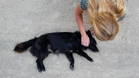 blond girl stroking black dogの写真素材