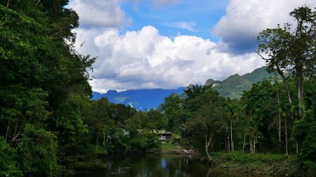 View from a bridge to Gunung Mulu Nationalpark, Borneoの写真素材