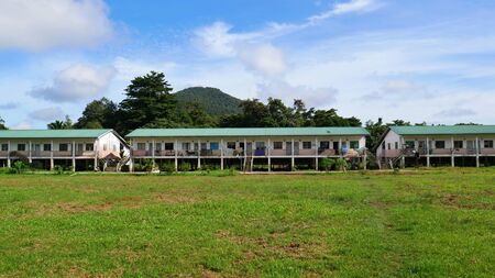 Traditonal Longtail House at Mulu Village, Borneoの写真素材