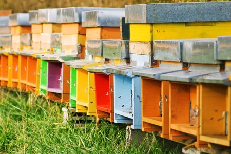 A long line of coloured beehives in the middle of a meadowの写真素材