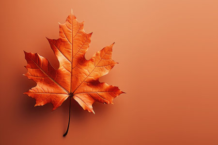Autumn maple leaf on orange background, copy spaceの素材