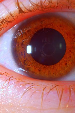 Eye Closeup