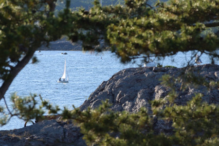 Sailing
