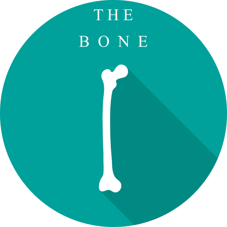 White bone  on a turquoise background with shadowのイラスト素材
