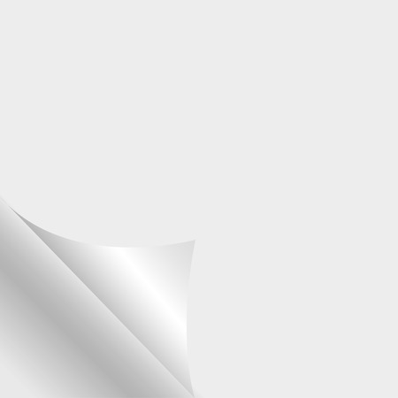Page curl  with shadow on blank white of paperのイラスト素材