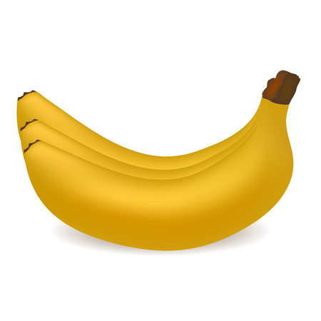 Realistic yellow bananas branch with shadow  on a white background vector illustrationのイラスト素材