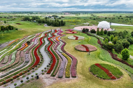 Aerial view of a colorful field of tulips planted with different patterns and shapes, summer dawn. Concept, spring, summer, natureの写真素材