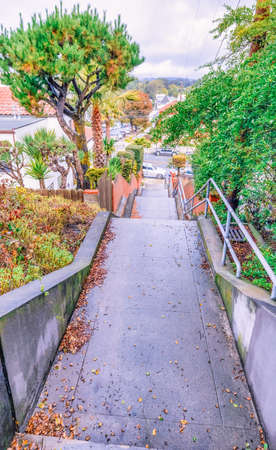 SAN FRANCISCO, CA - October 22, 2021, View of one of the many streets in the Sunset area, in bright...