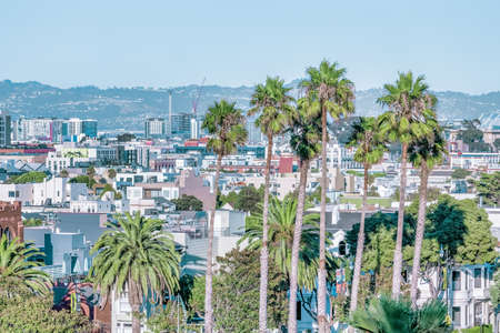 Dolores Park, San Francisco, California. color landscape photo of park with palm trees in foreground and san francisco skyline in backgroundの写真素材