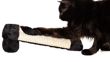 Black cat playing with a toy mouse on a sisal playgroundの写真素材