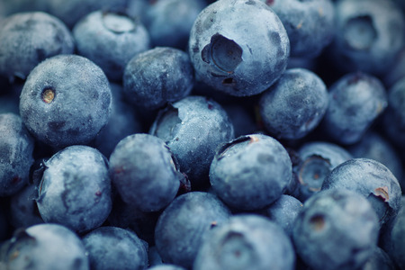 Blueberriesの写真素材