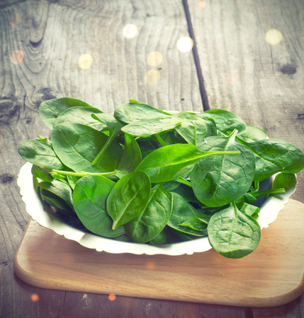 Fresh spring baby leaves of spinachの写真素材