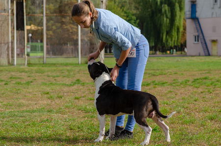 Homel / Belarus - 09.16.2018: People and dogs in the parkのeditorial素材