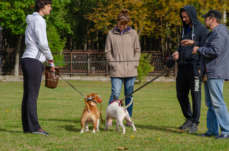 Homel / Belarus - 09.16.2018: People and dogs in the parkのeditorial素材