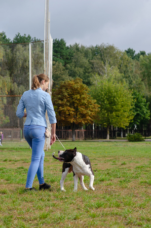 Homel / Belarus - 09.16.2018: People and dogs in the parkのeditorial素材