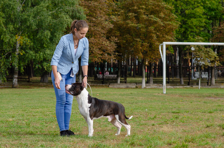 Homel / Belarus - 09.16.2018: People and dogs in the parkのeditorial素材
