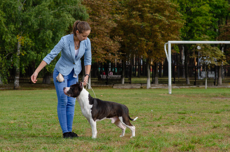 Homel / Belarus - 09.16.2018: People and dogs in the parkのeditorial素材